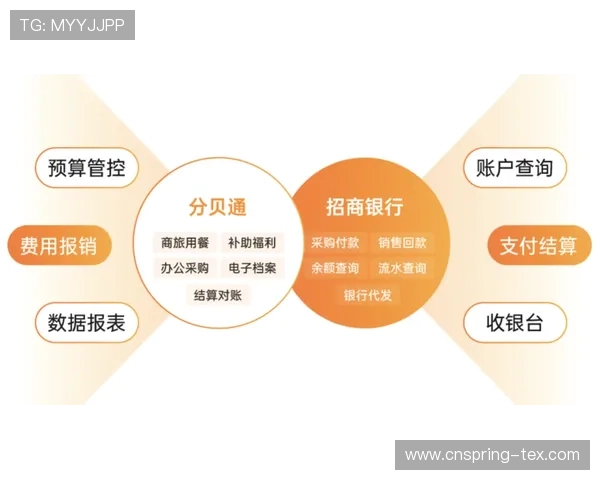 凯发在线平台支付方式多样化,便捷安全的资金交易体验 凯发在线平台支付方式多样化,便捷安全的资金交易体验