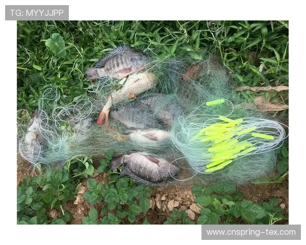 K8捕鱼网投安全可靠的线上捕鱼平台推荐与最新优惠活动解析